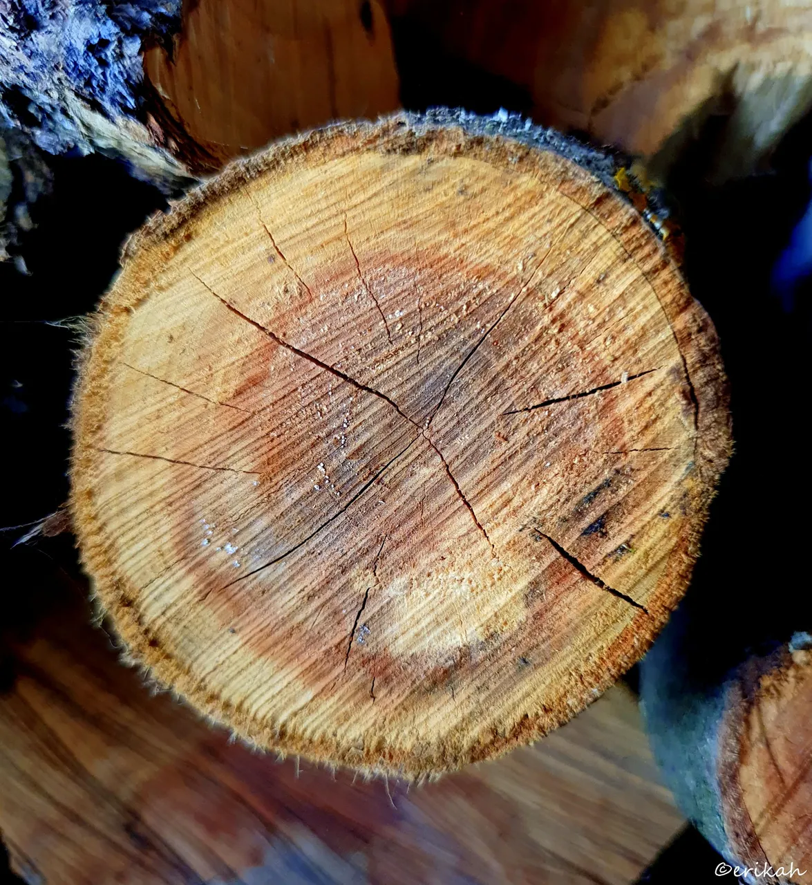 20220819_172714a.jpg
