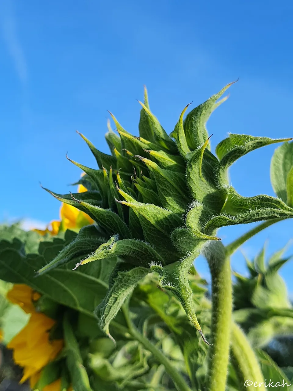 20230809_180507a.jpg