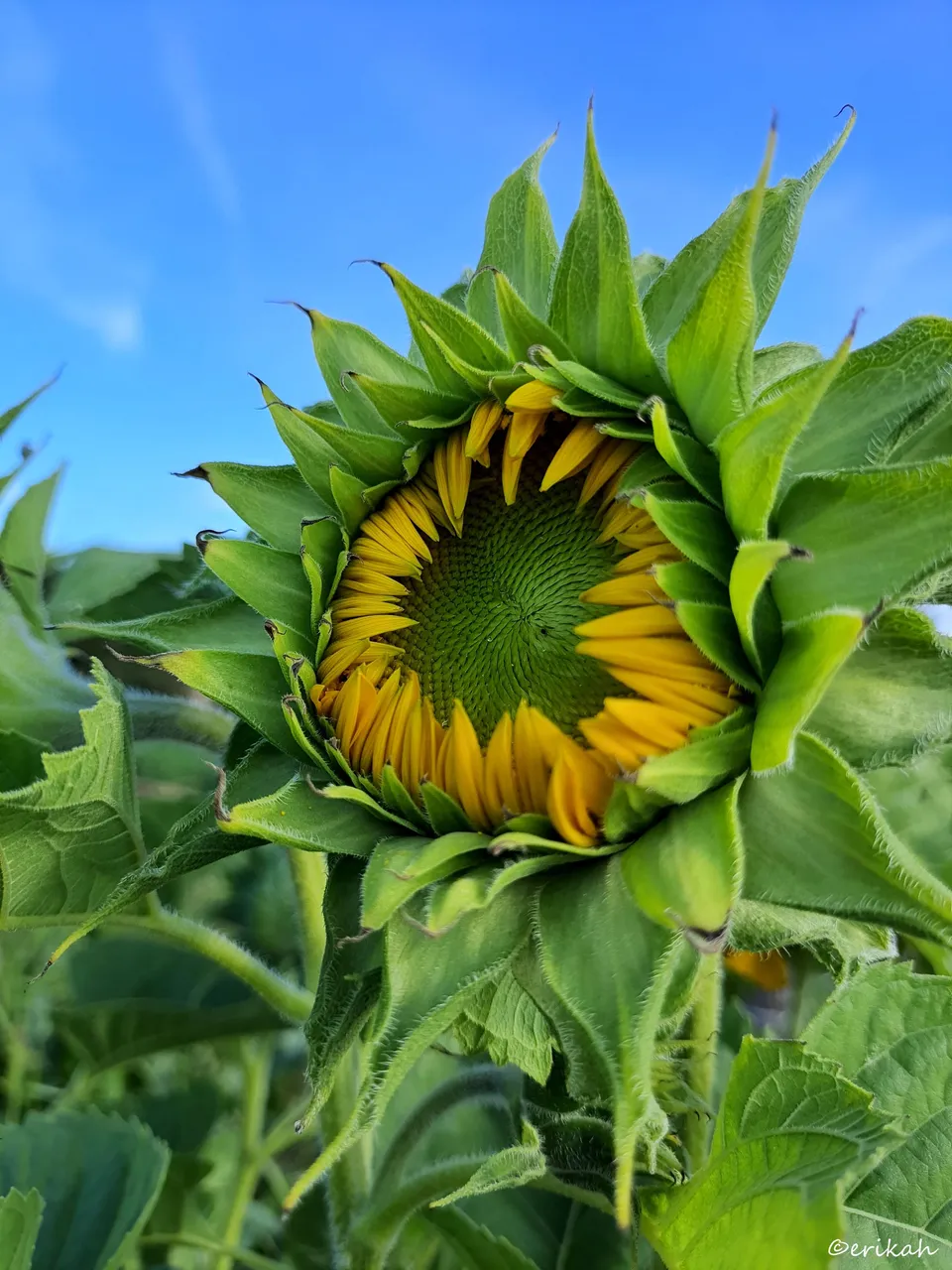 20230809_180425a.jpg