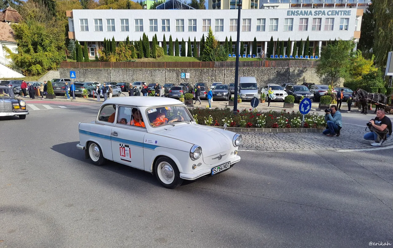 20241013_153023a.JPG