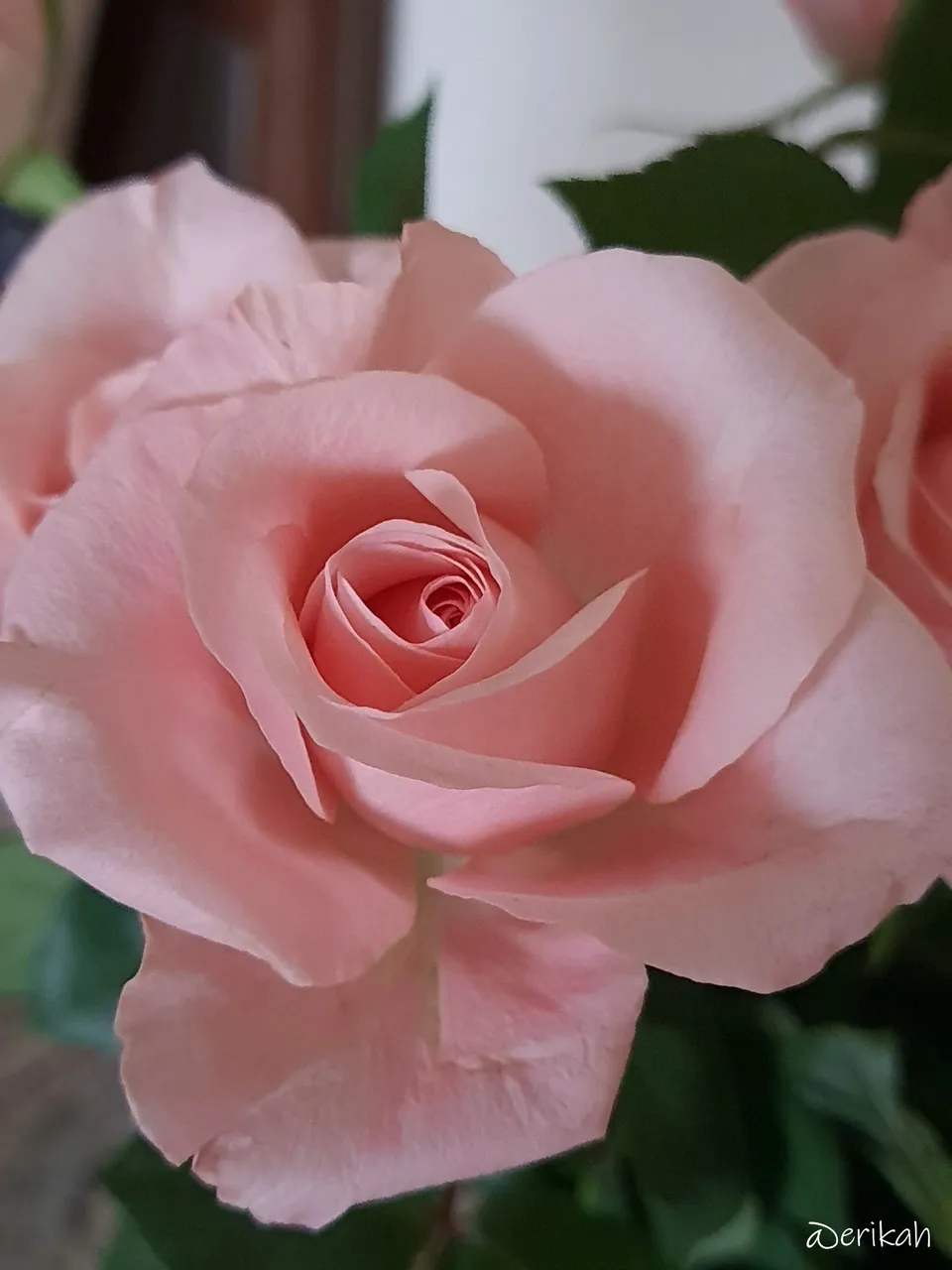 20251014_101634a.JPG