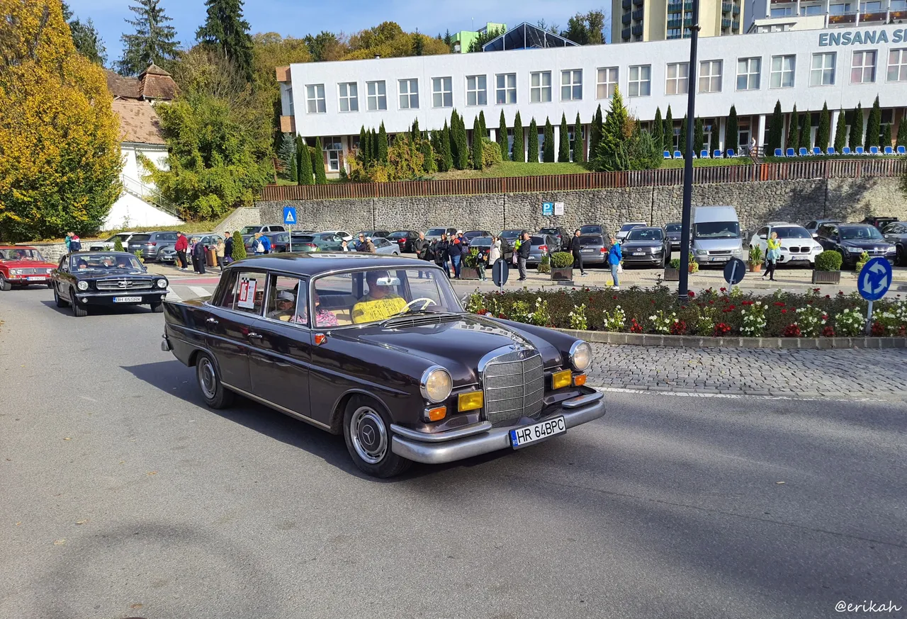 20241013_153027a.JPG