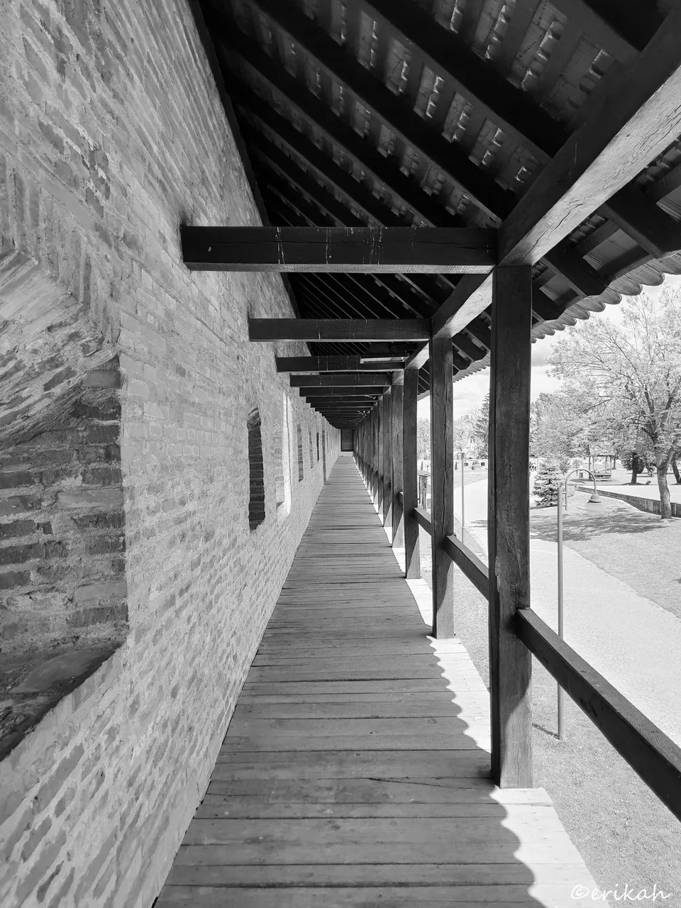 20230510_123148a1.jpg
