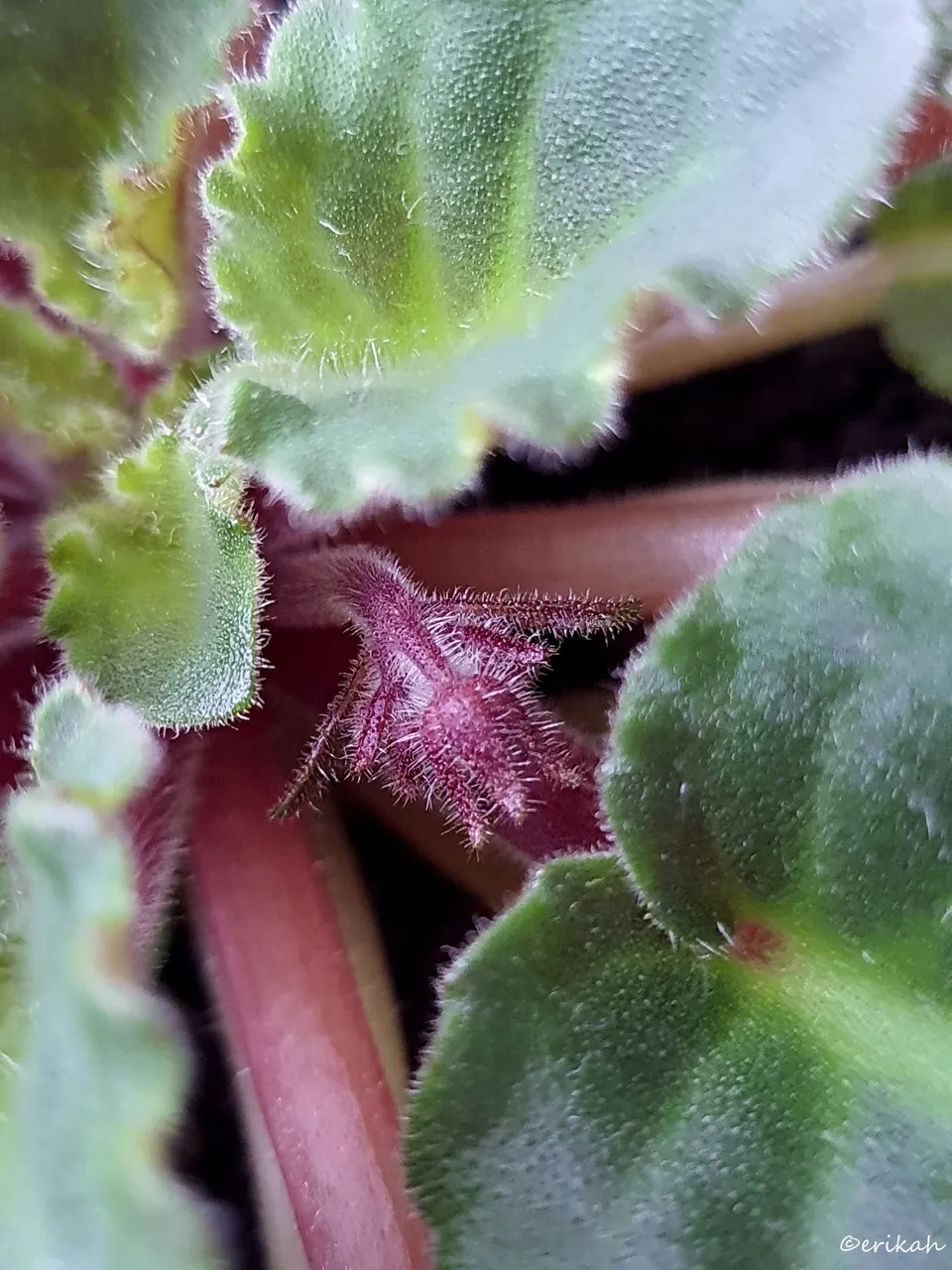20230415_130947a.jpg
