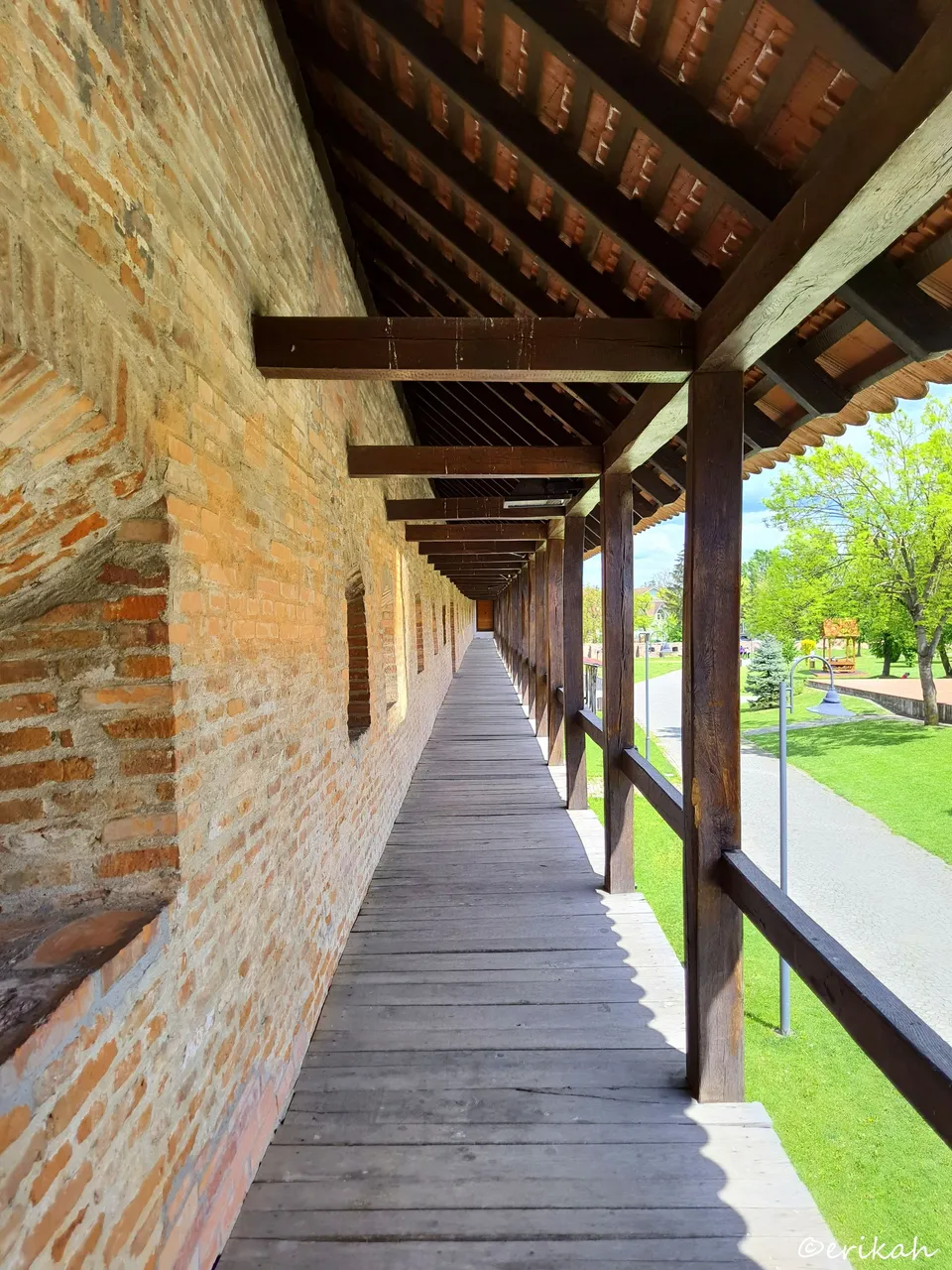 20230510_123148a.jpg