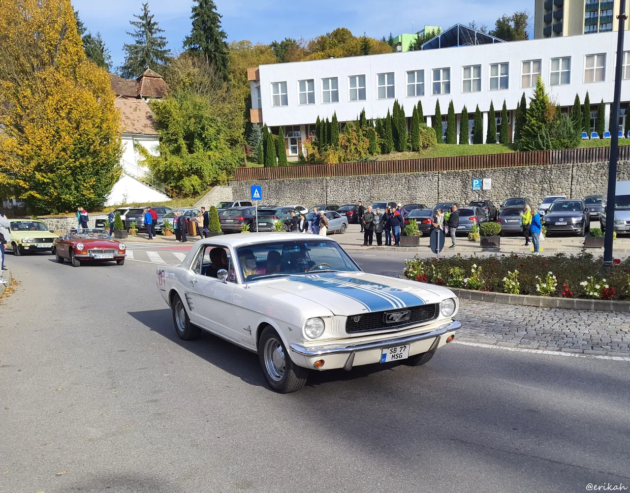 20241013_153049a.JPG