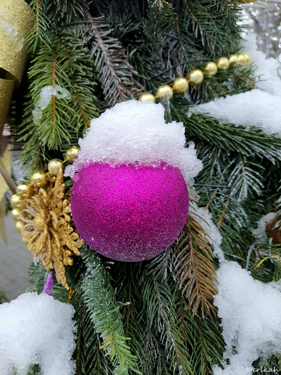 20211217_100030a.jpg