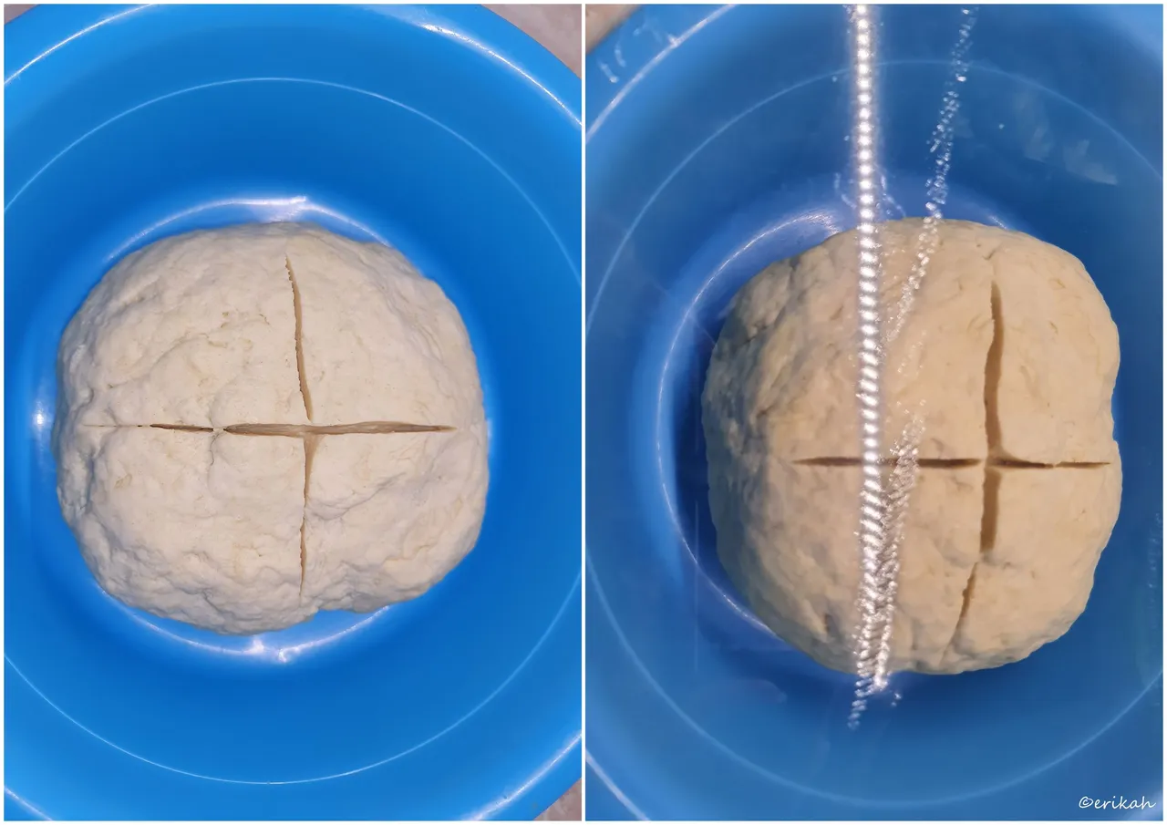 Pizza Dough.jpg