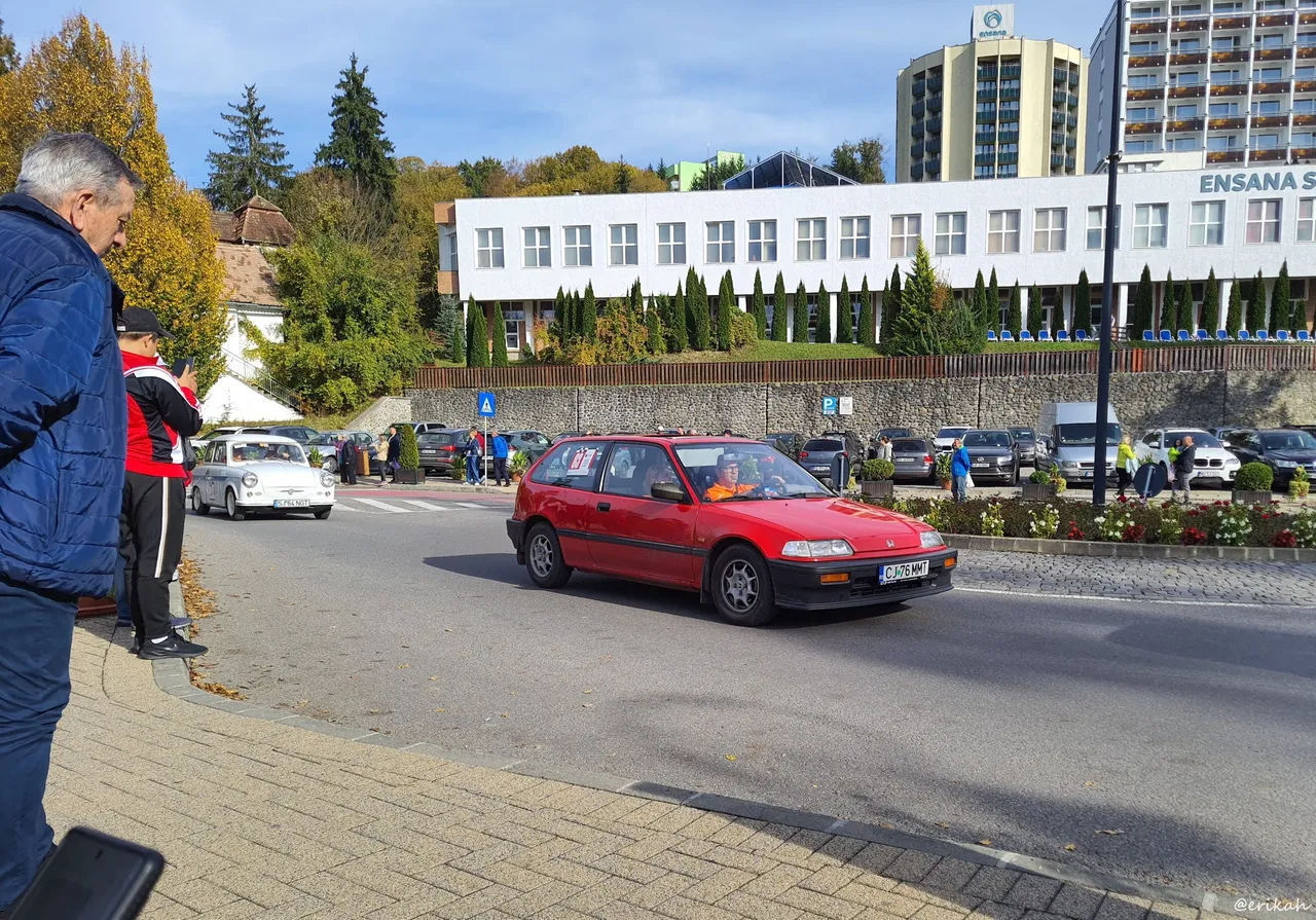 20241013_153014a.JPG