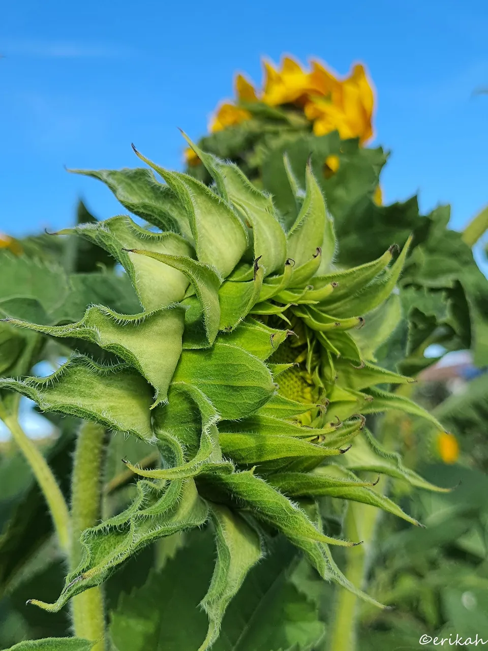 20230809_180449a.jpg