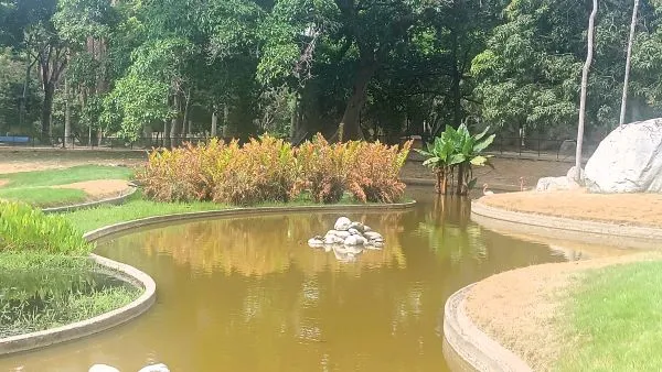 lago corocoras.jpg