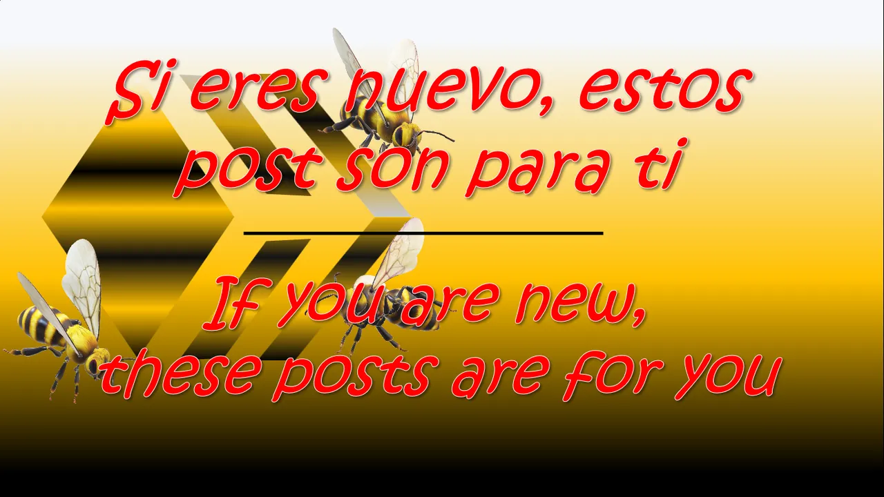 imagen.png