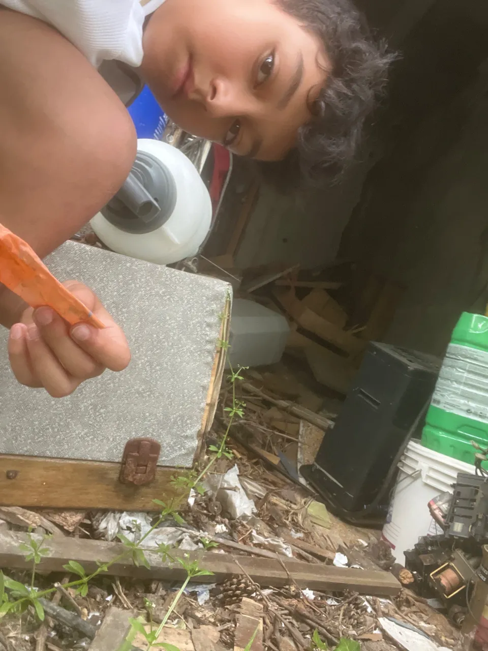 image.jpg