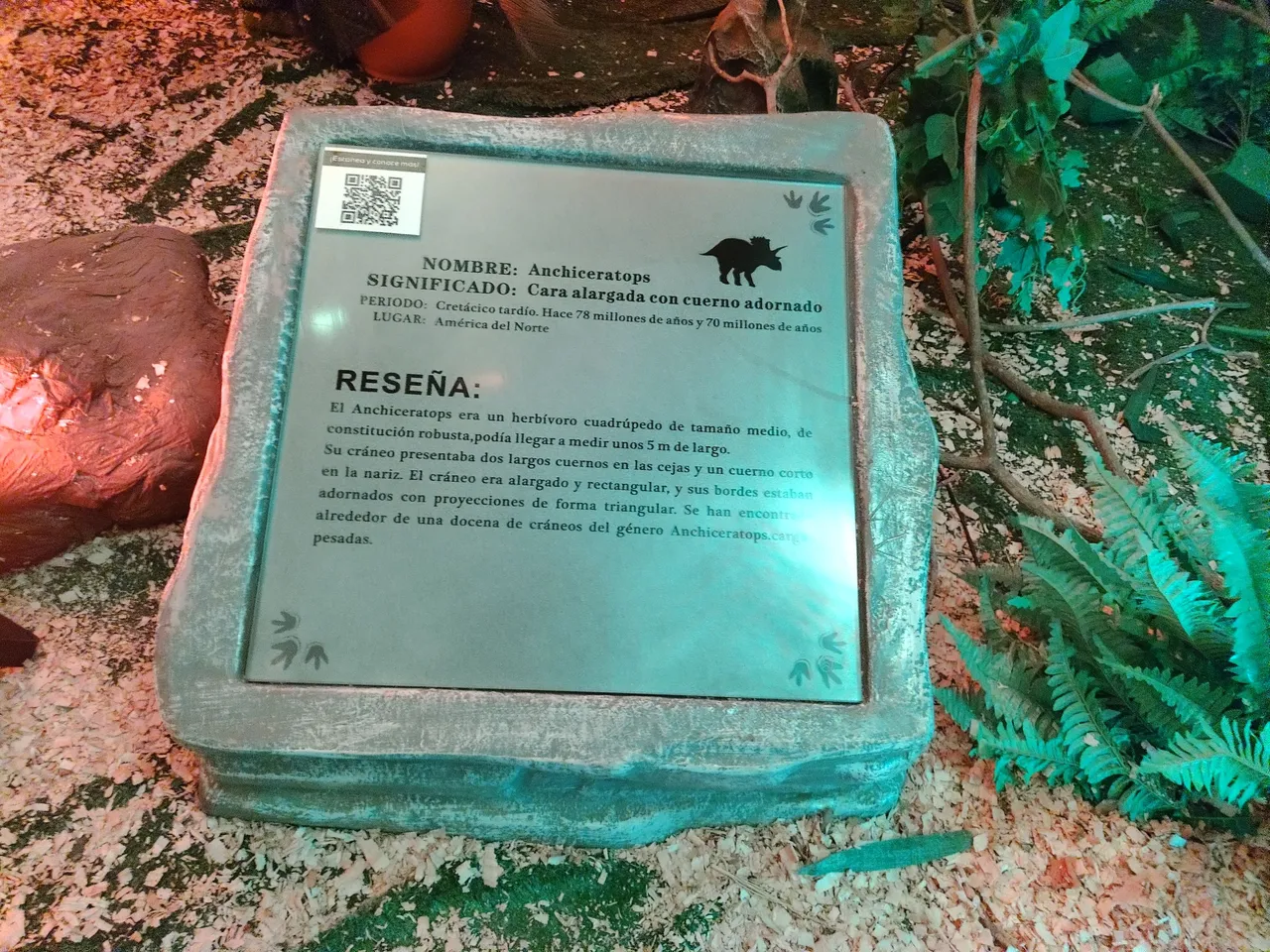 IMG_20250719_102817876.jpg