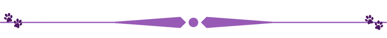 paw divider transparent.png