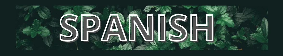 SPANISH (14).png