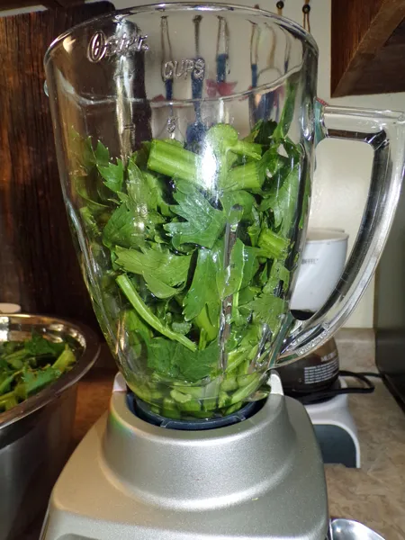 Celery salt  filling blender crop August 2020.jpg
