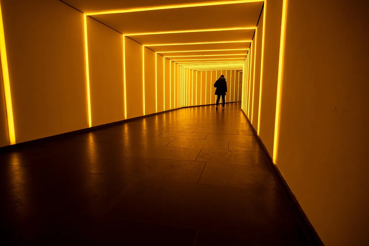 tunnel-7893124_1280.jpg