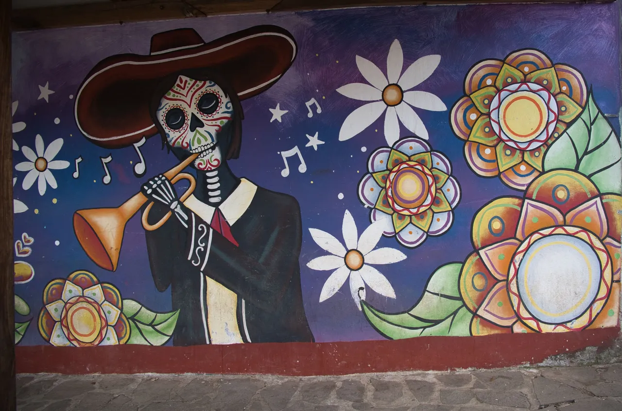 _DSC0497.jpeg