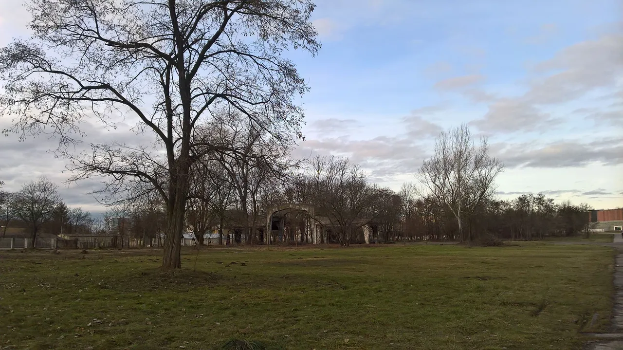WP_20221231_14_00_34_Pro.jpg