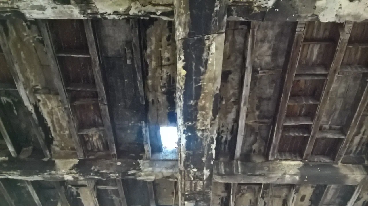 WP_20221231_13_57_06_Pro.jpg