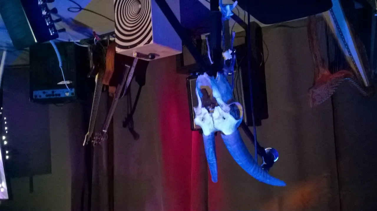 WP_20220917_19_40_37_Pro.jpg