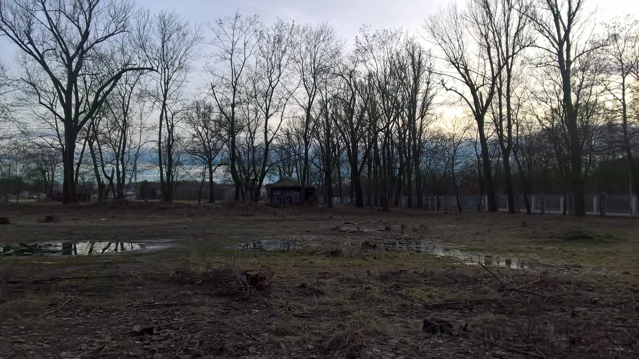 WP_20221231_13_58_41_Pro.jpg