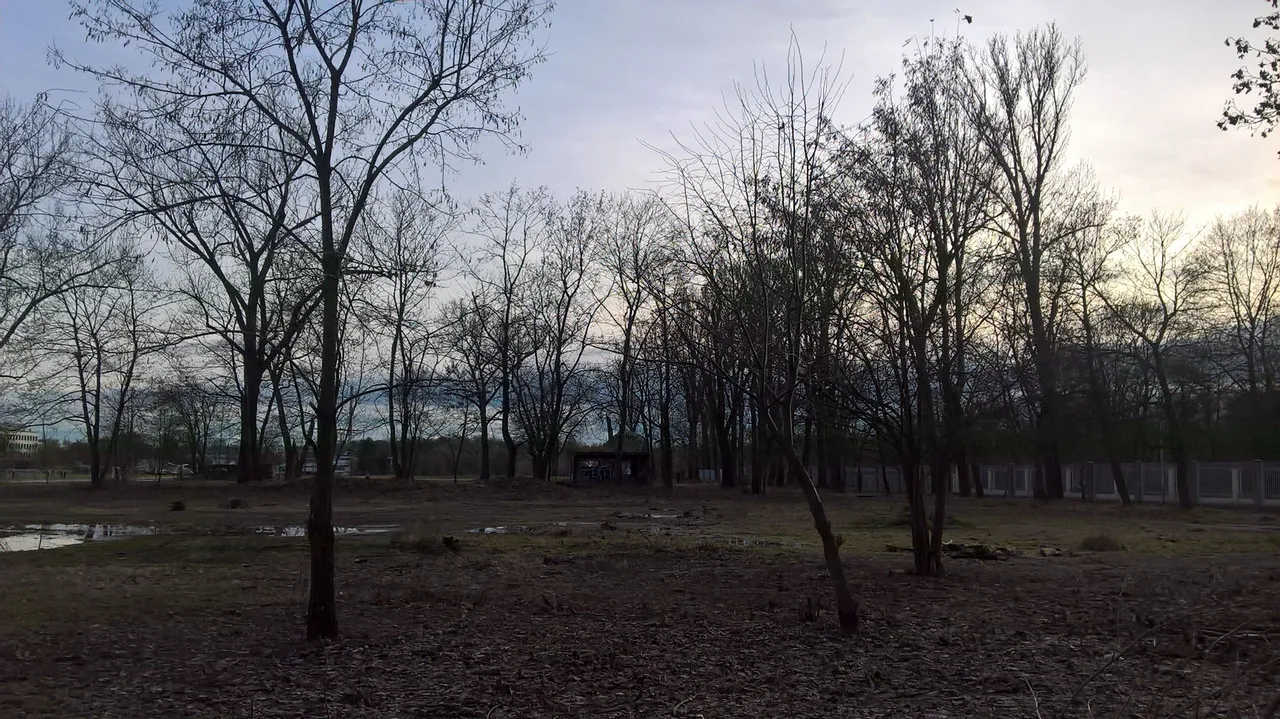 WP_20221231_13_57_51_Pro.jpg