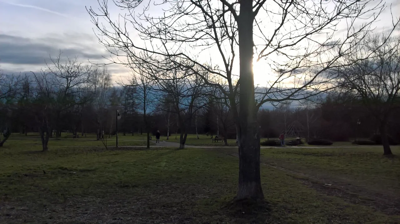 WP_20221231_14_06_19_Pro.jpg