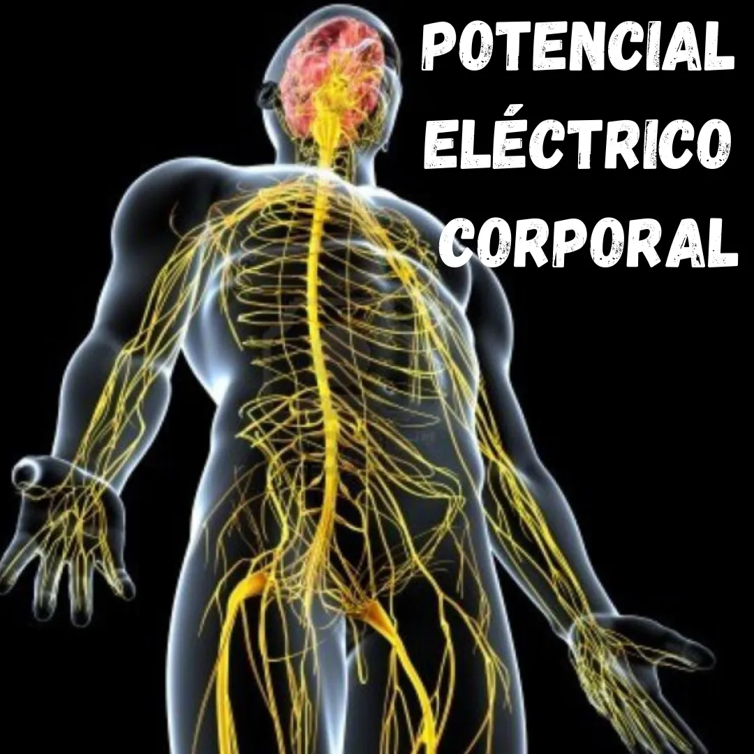 Potencial Eléctrico Corporal (2).png