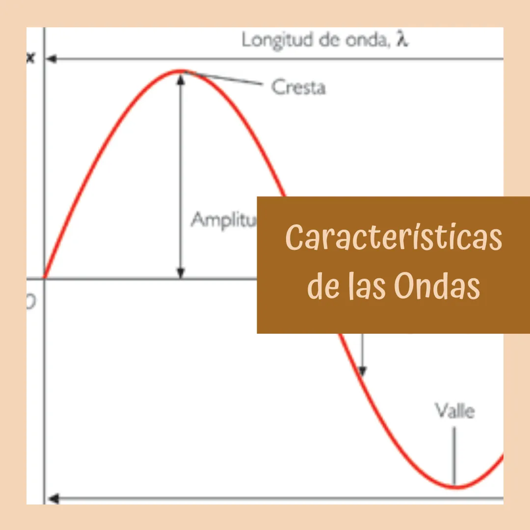 Características de las Ondas-1 (2).png