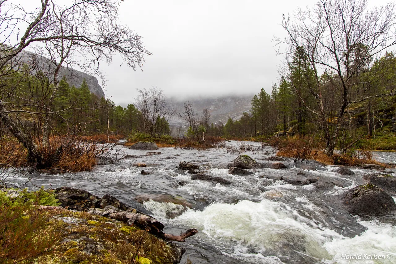 Lakselvvannet-10.jpg