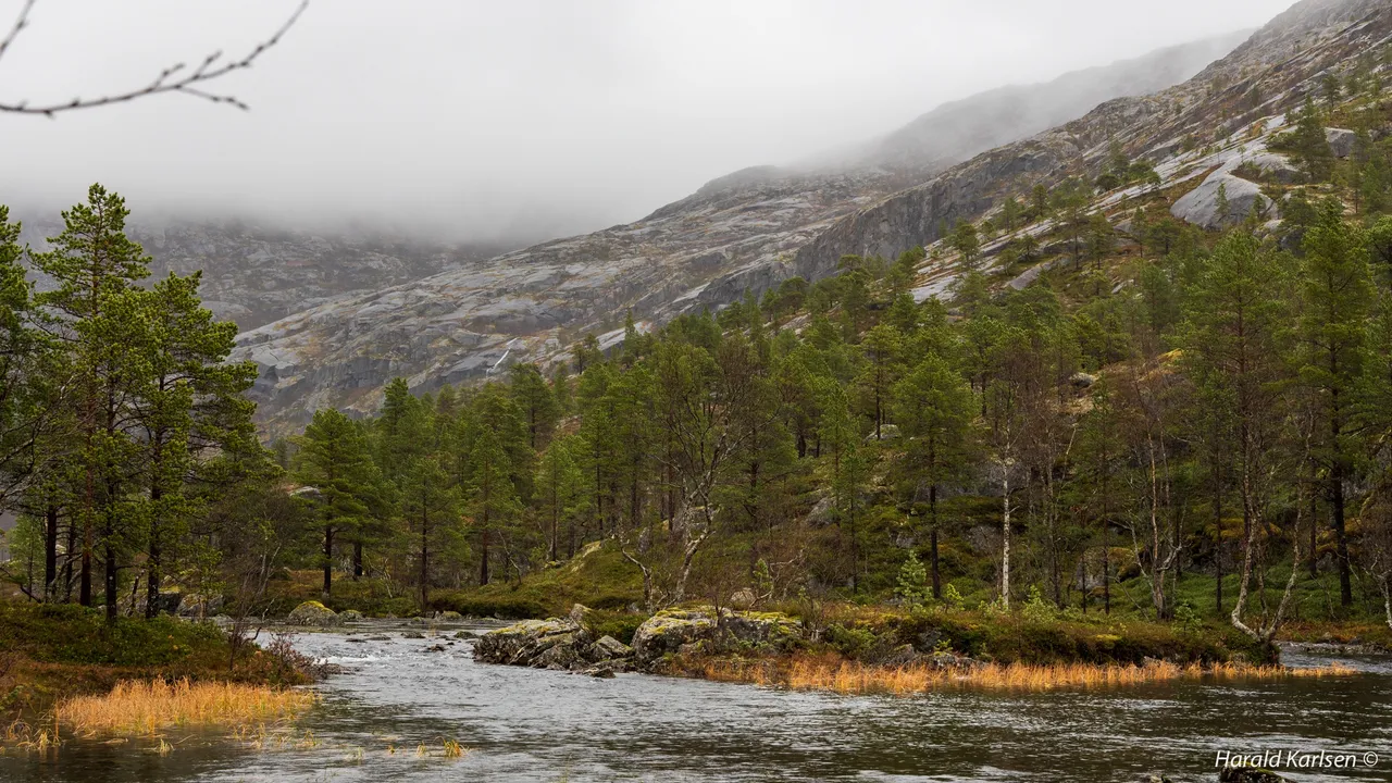 Lakselvvannet-9.jpg