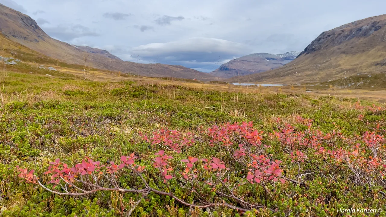 Gressdalen-11.jpg