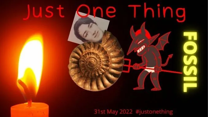 fossil.jpg