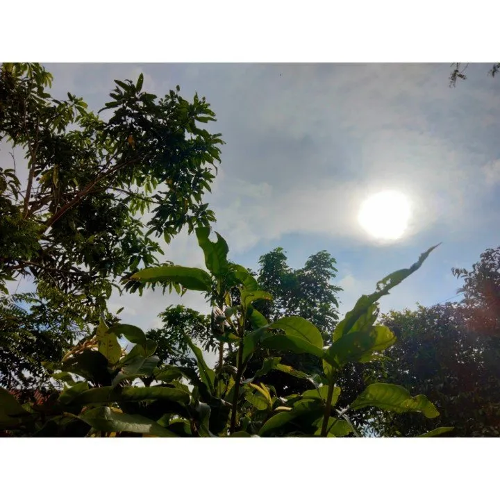 JvFFVmatwWHT5Fvr9KYC2ckcJeTNPxSHwBGG4zr8L75LE7UoLxjxtBWQXhVpf1DbsyXJKLiaMsCcHANcLdspTZm3bFrHH5KhtRPtF7ainw1SNfocvKfScqjWKnuihnPDeDvttwtNzJ.jpeg