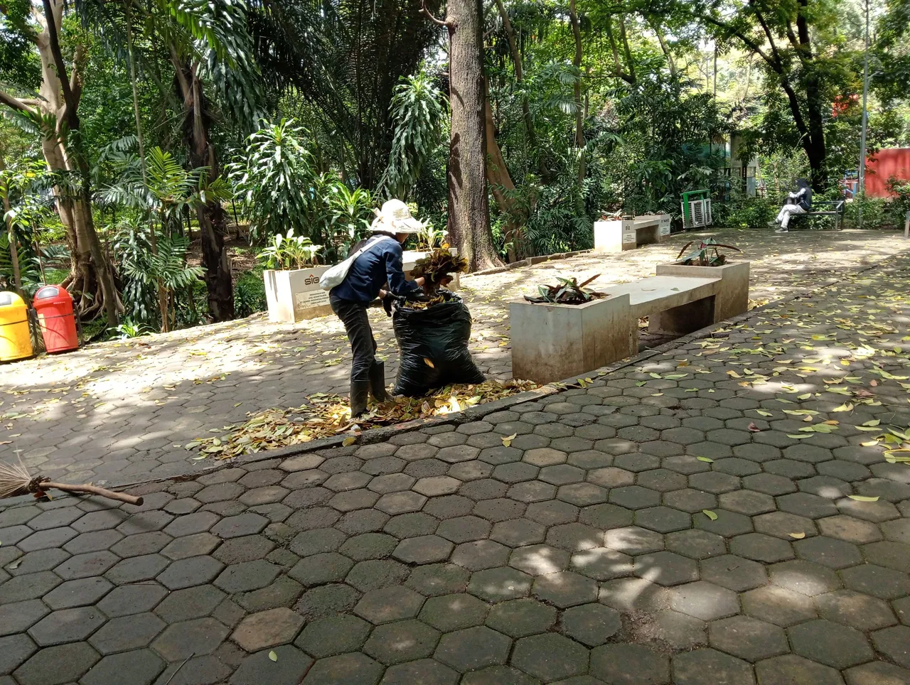 IMG20250414124128.jpg