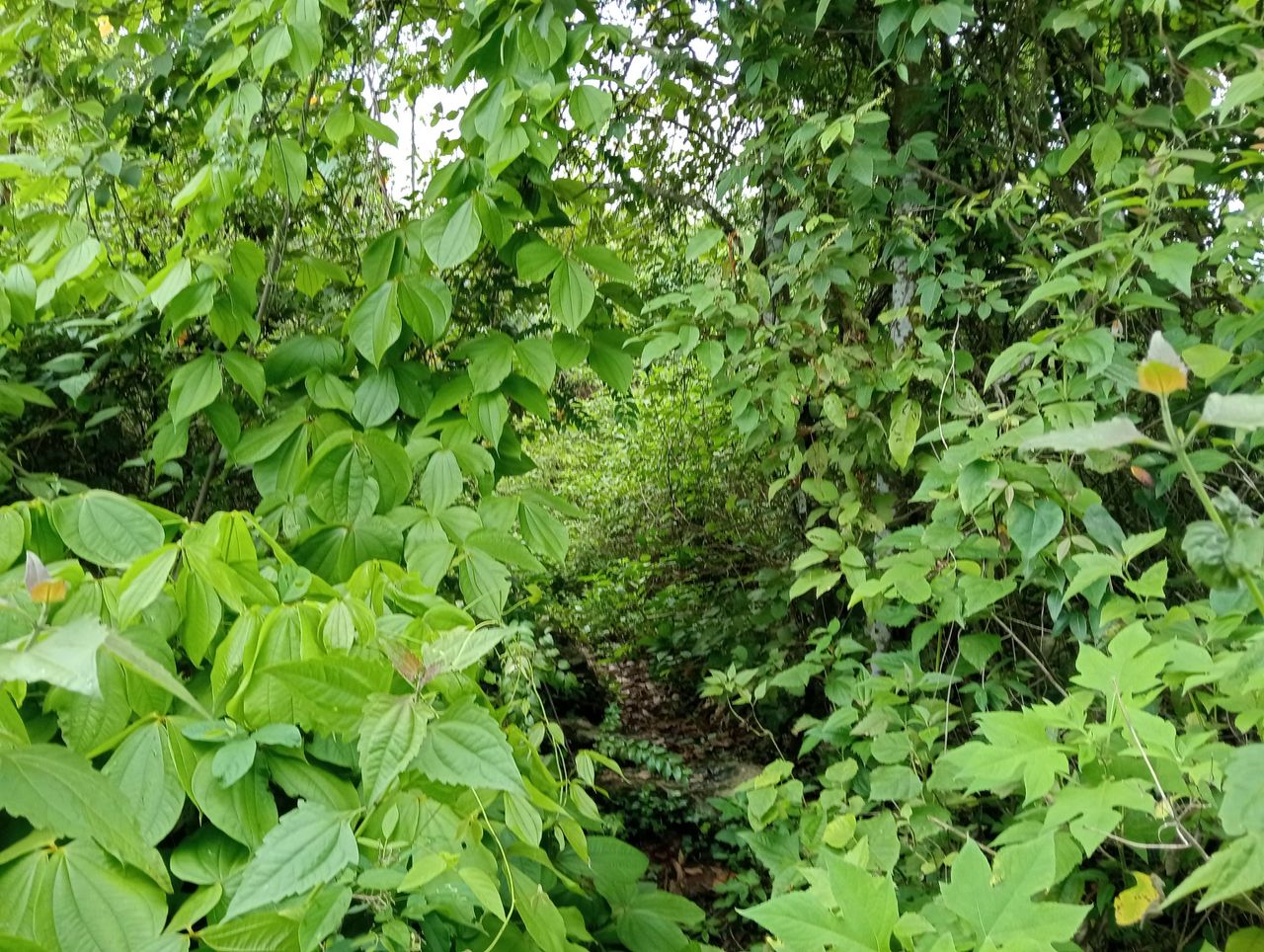 IMG20251105085056.jpg