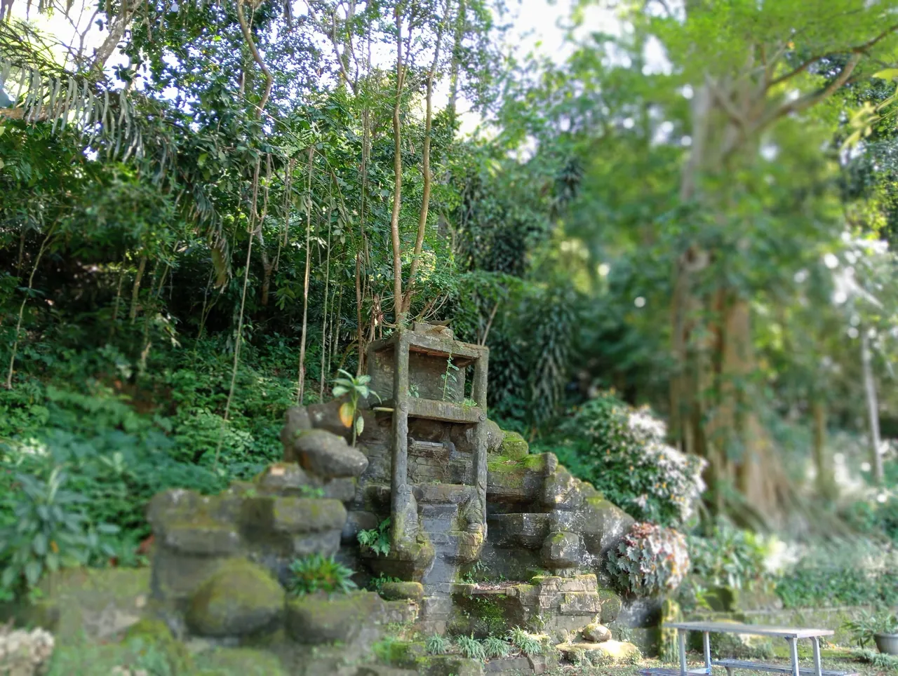 IMG20250607085158.jpg