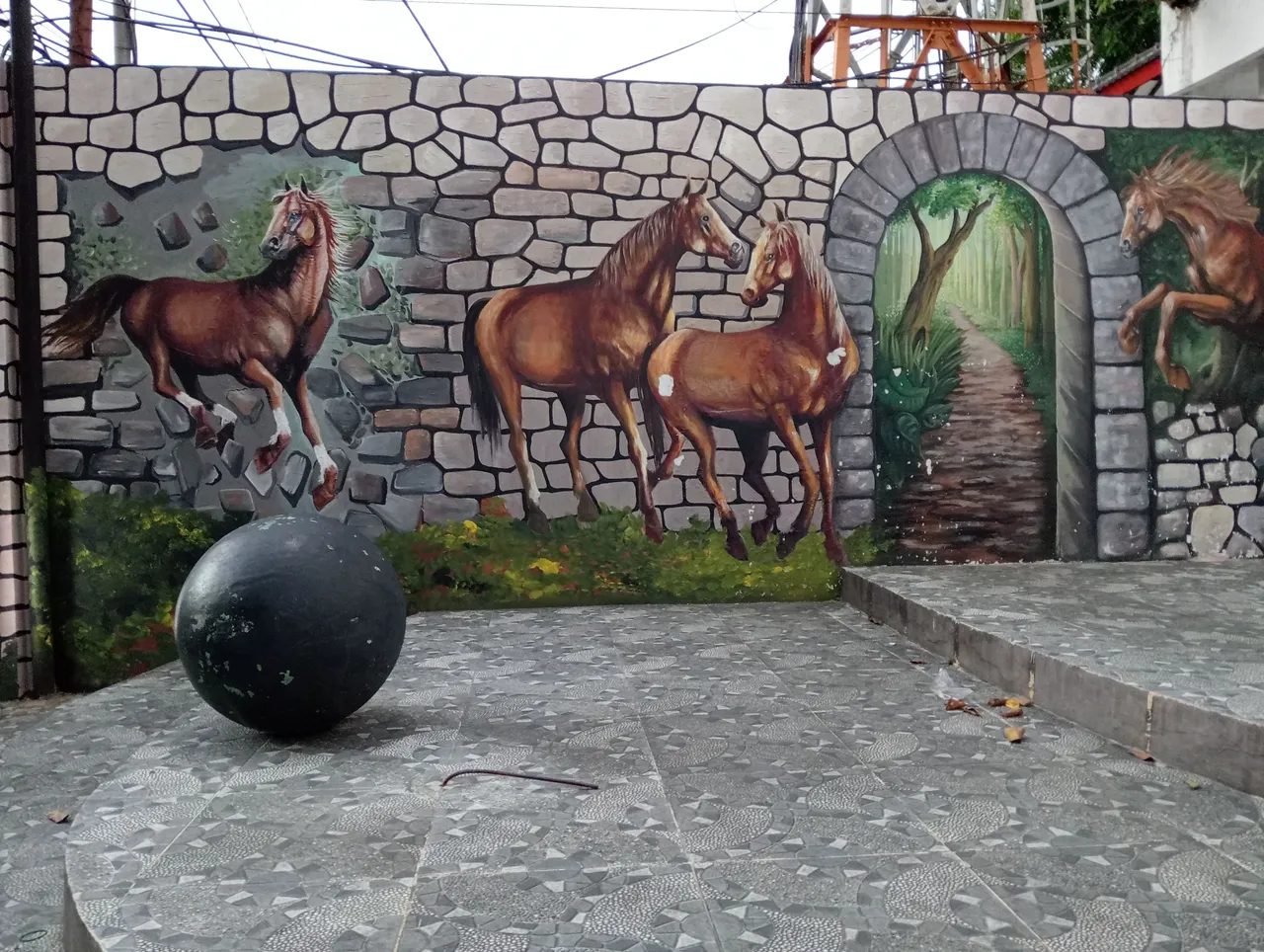 IMG20250607054849.jpg