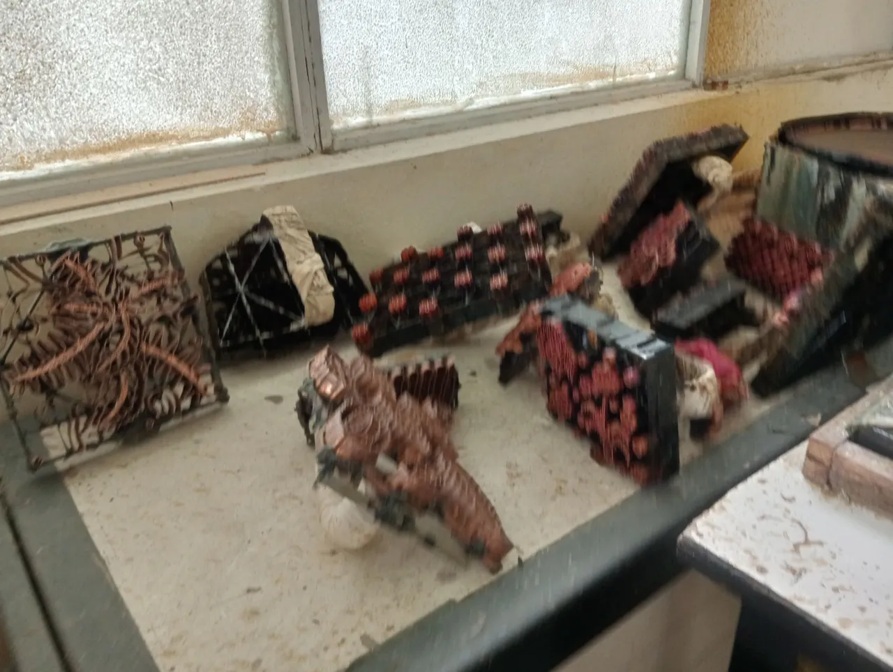 IMG20250628093000.jpg