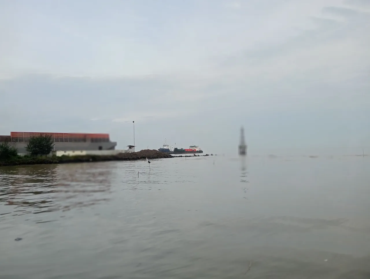IMG20250323061557.jpg