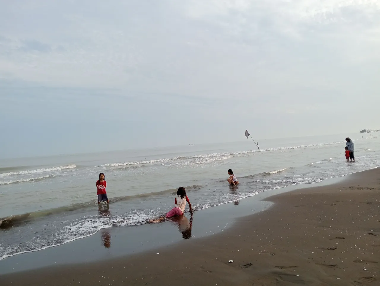 IMG20250323064024.jpg