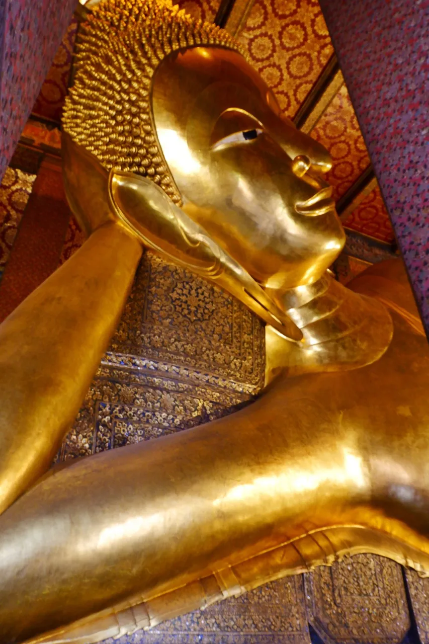 DSCF5786.JPG