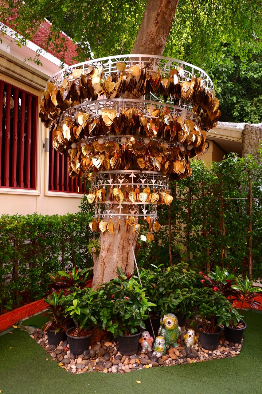 DSCF6363.JPG
