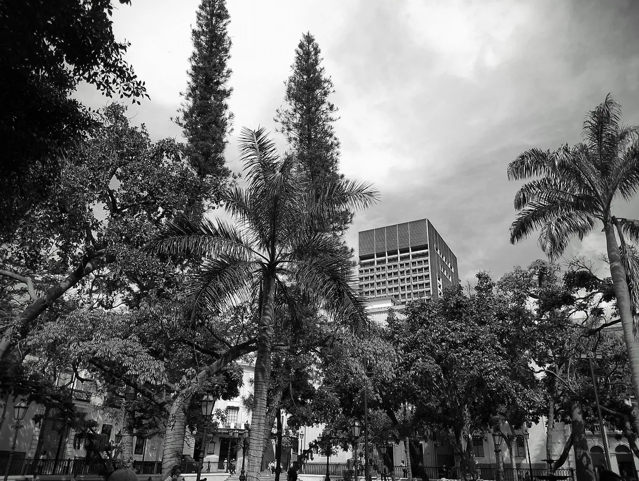 IMG_20241223_111551~2.jpg