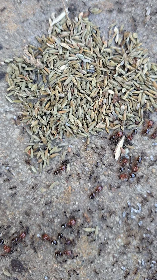 20230909_170125.jpg