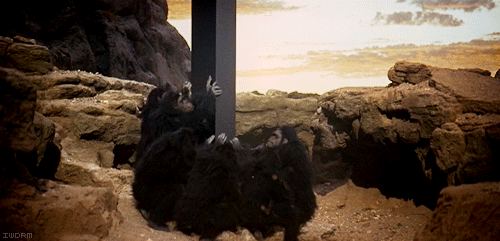 6a00d8341c630a53ef015391422b9f970b.gif