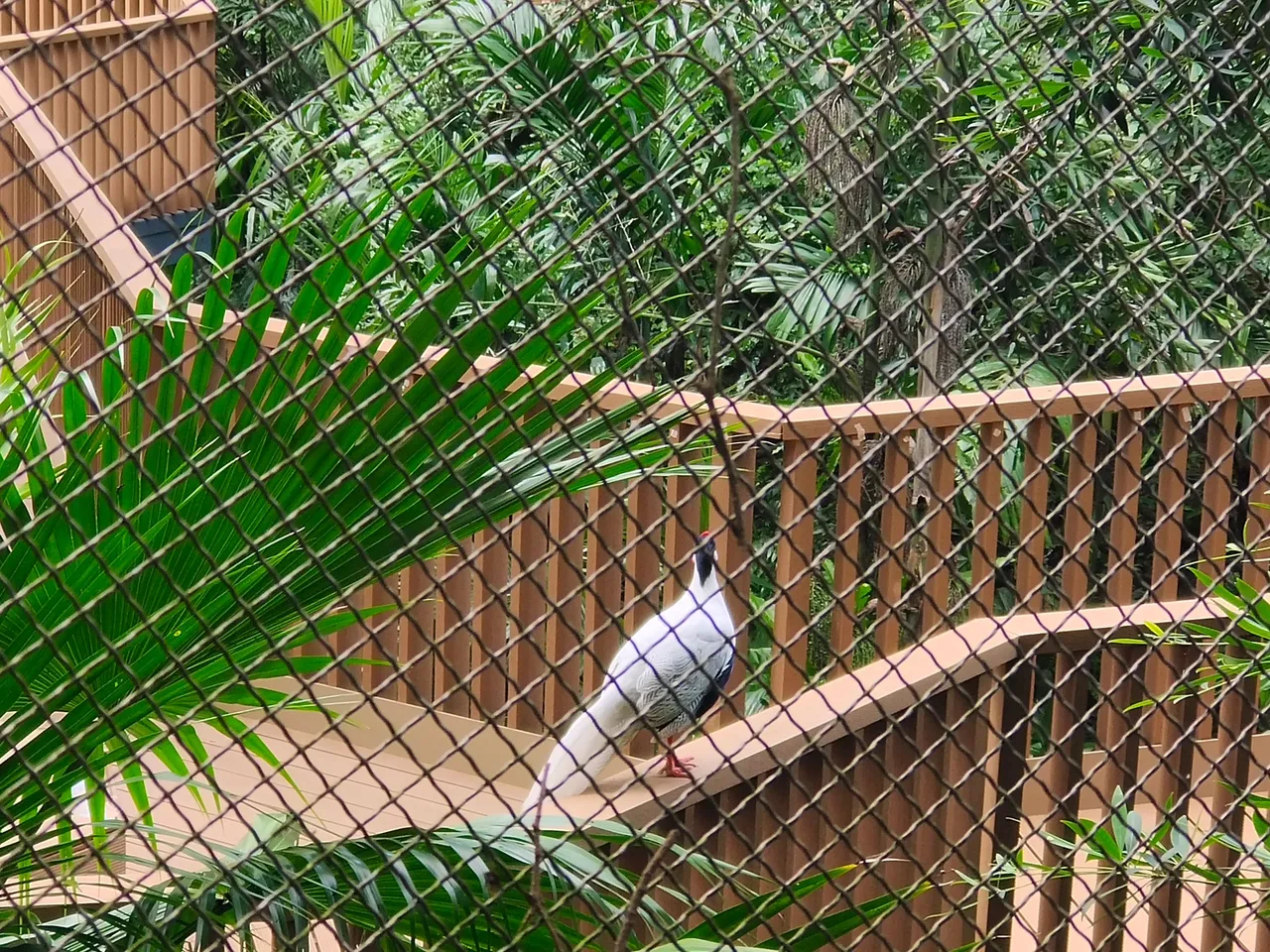 IMG_20230917_150814.jpg