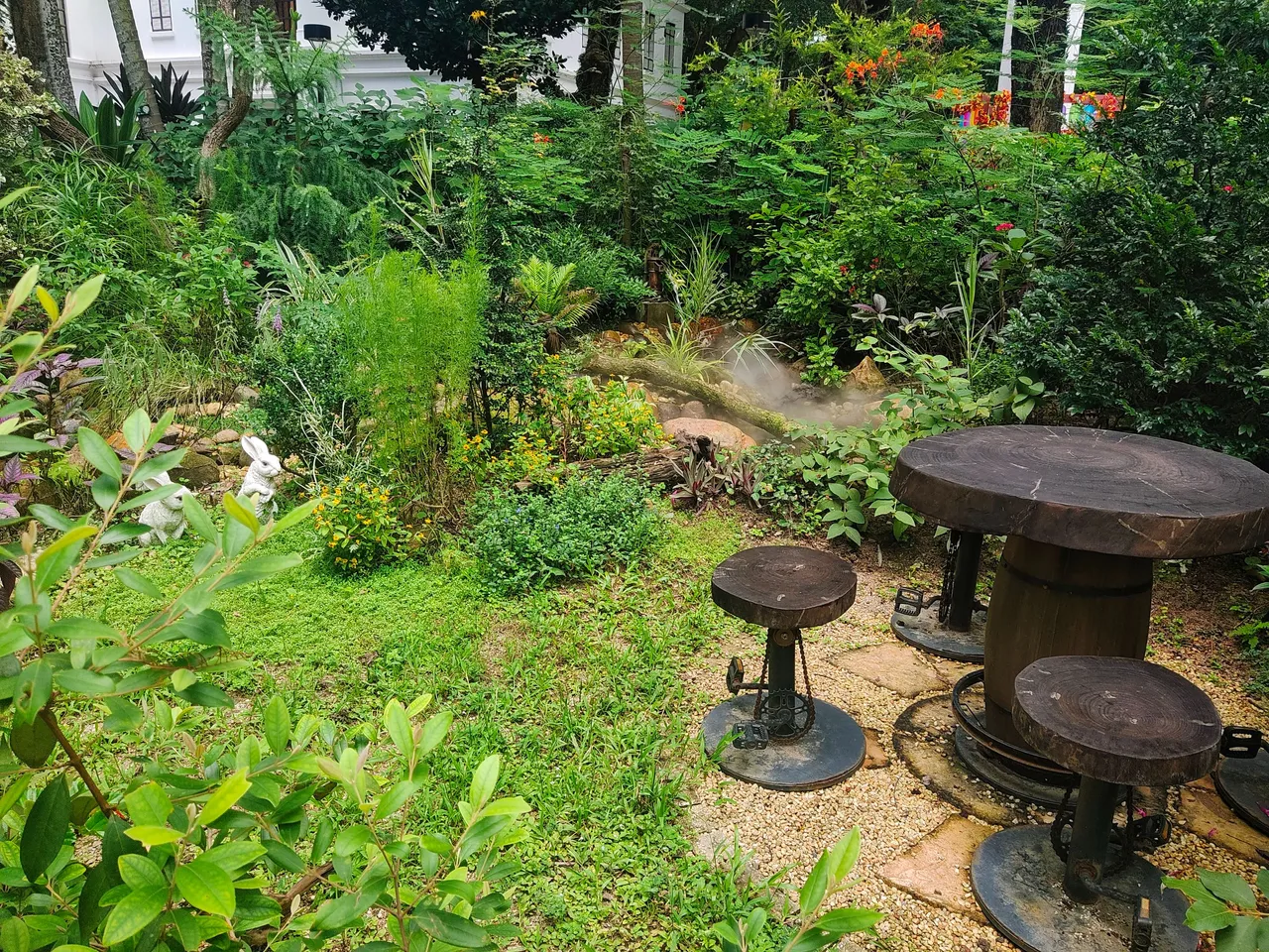 IMG_20231120_215138.jpg